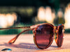 Desire Honey by TINTS Eyewear. Crystal Brown Frame with Polarized Brown lens