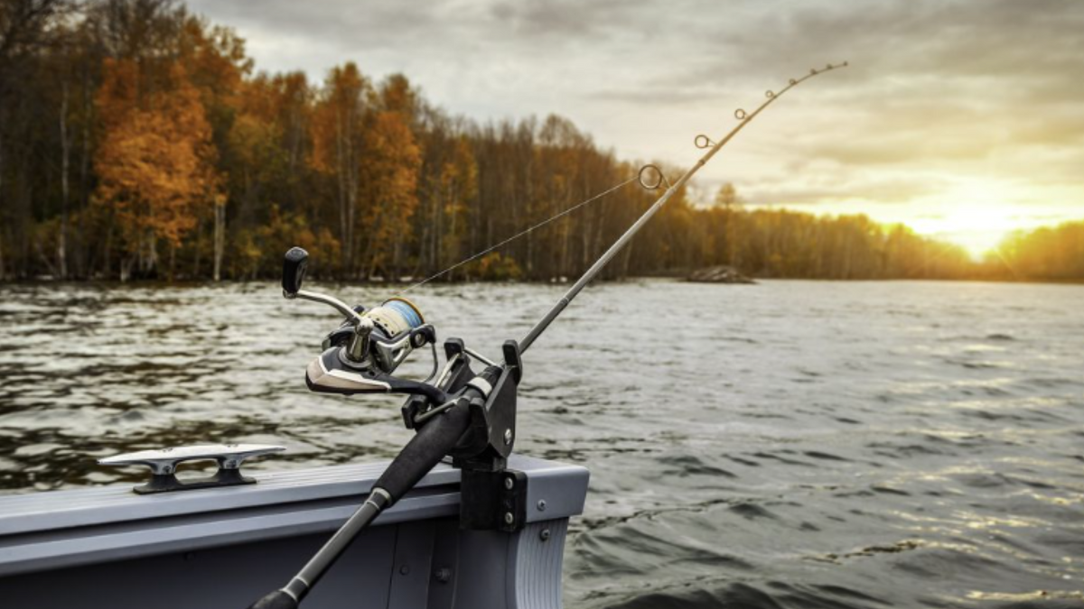 A Guide To Selecting The Best Sunglasses For Fishing — TINTS Eyewear