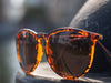 Desire Sahara by TINTS Eyewear. Tortoise Brown Frame and Polarized Brown Lens