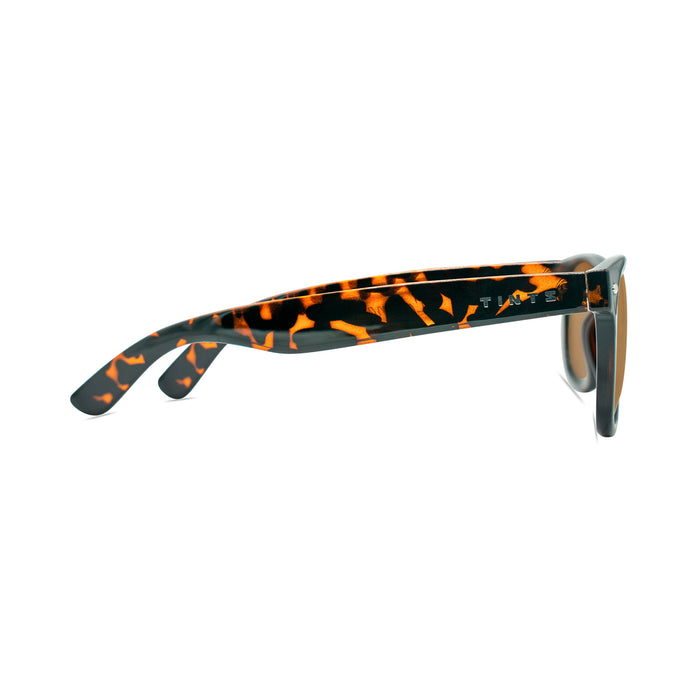 Laguna Amber Green Sunglasses by TINTS Eyewear