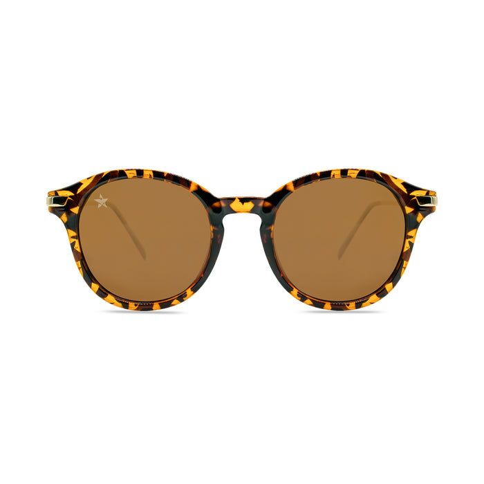 LuGu Tortoise by TINTS Eyewear. Tortoise Brown and Gold Frame with Polarized Brown Lens