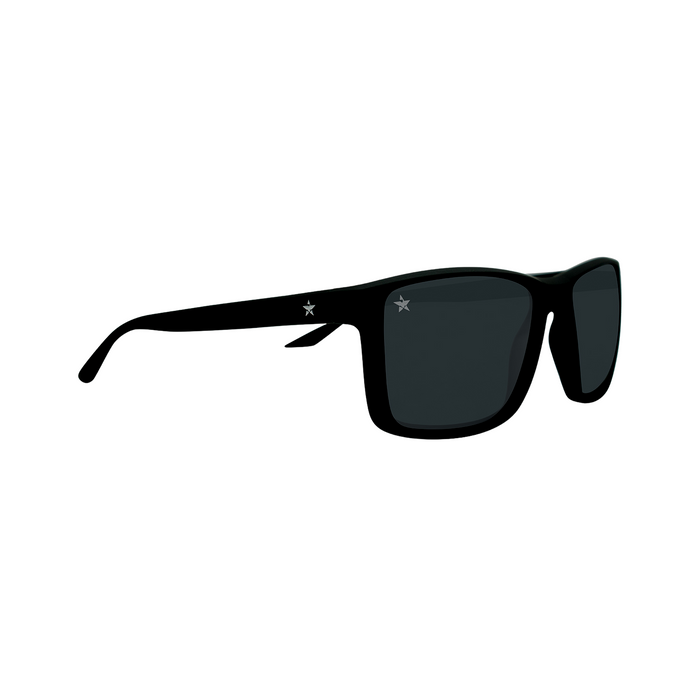 Majestic Night Sunglasses by TINTS Eyewear
